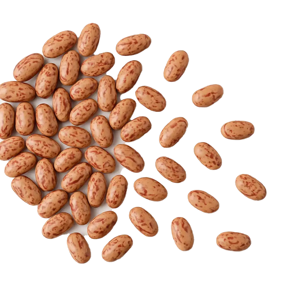 لوبیا چیتی درشت ایرانی