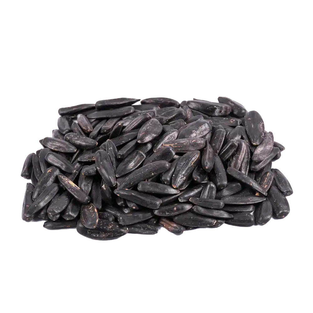 تخمه سیاه شور درجه یک