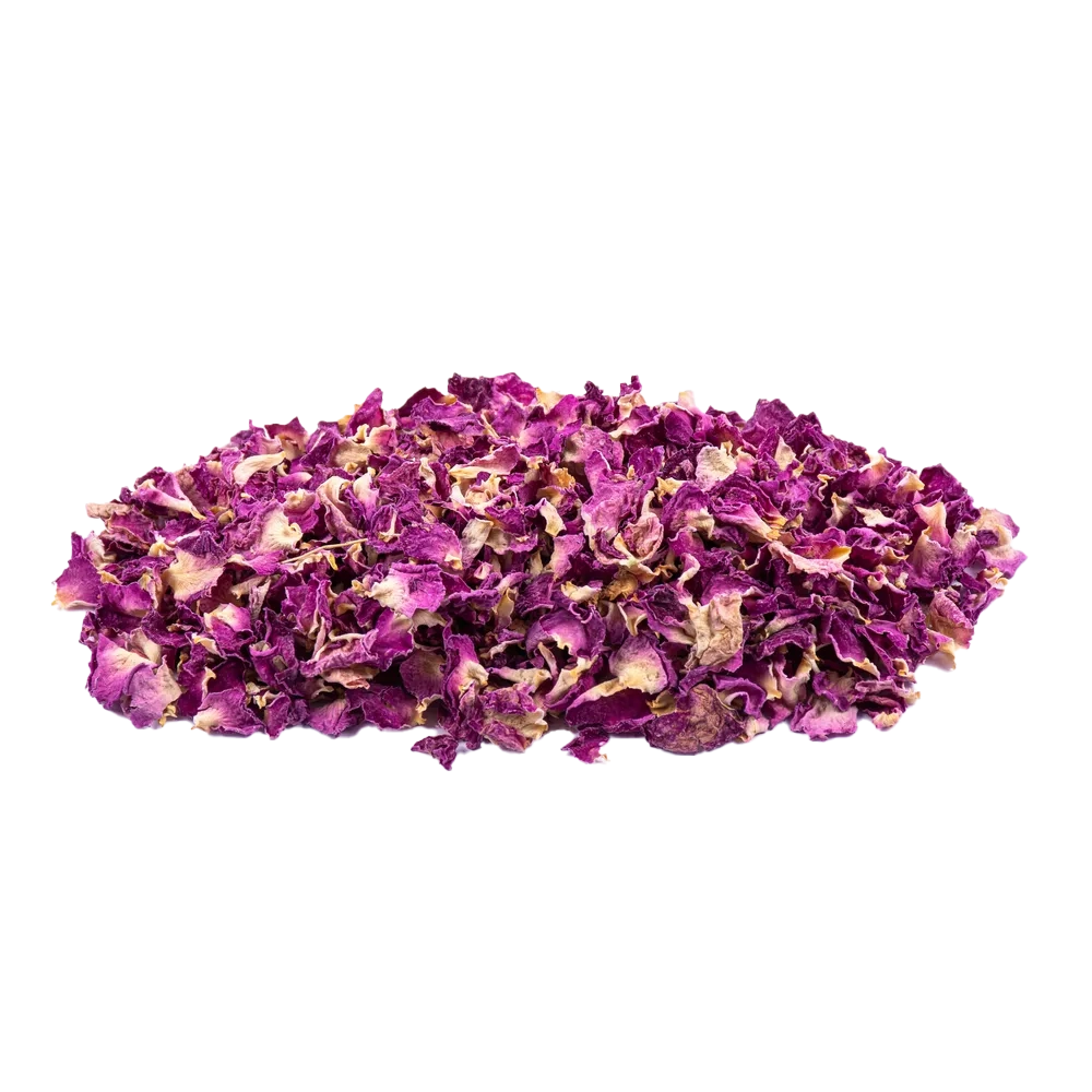 گلبرگ محمدی