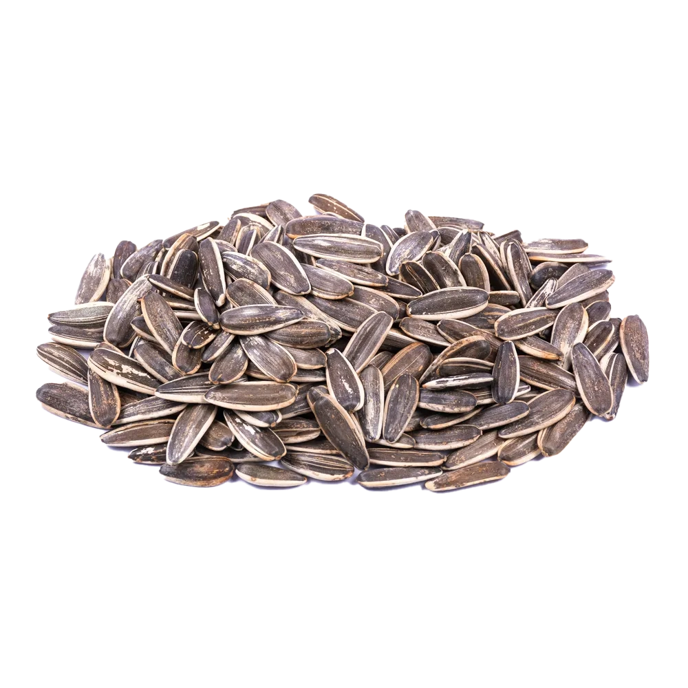 تخمه آفتاب گردادن شور