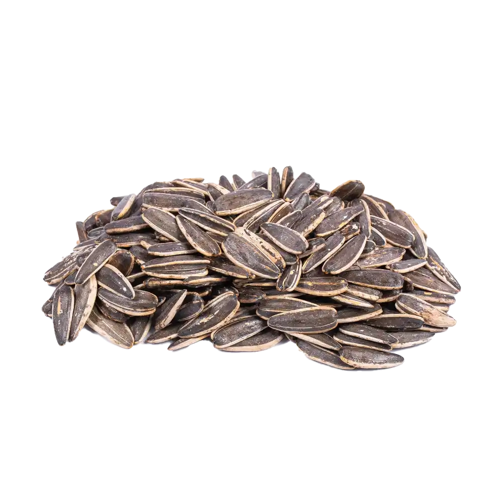 تخمه آفتاب گردادن شور درجه یک