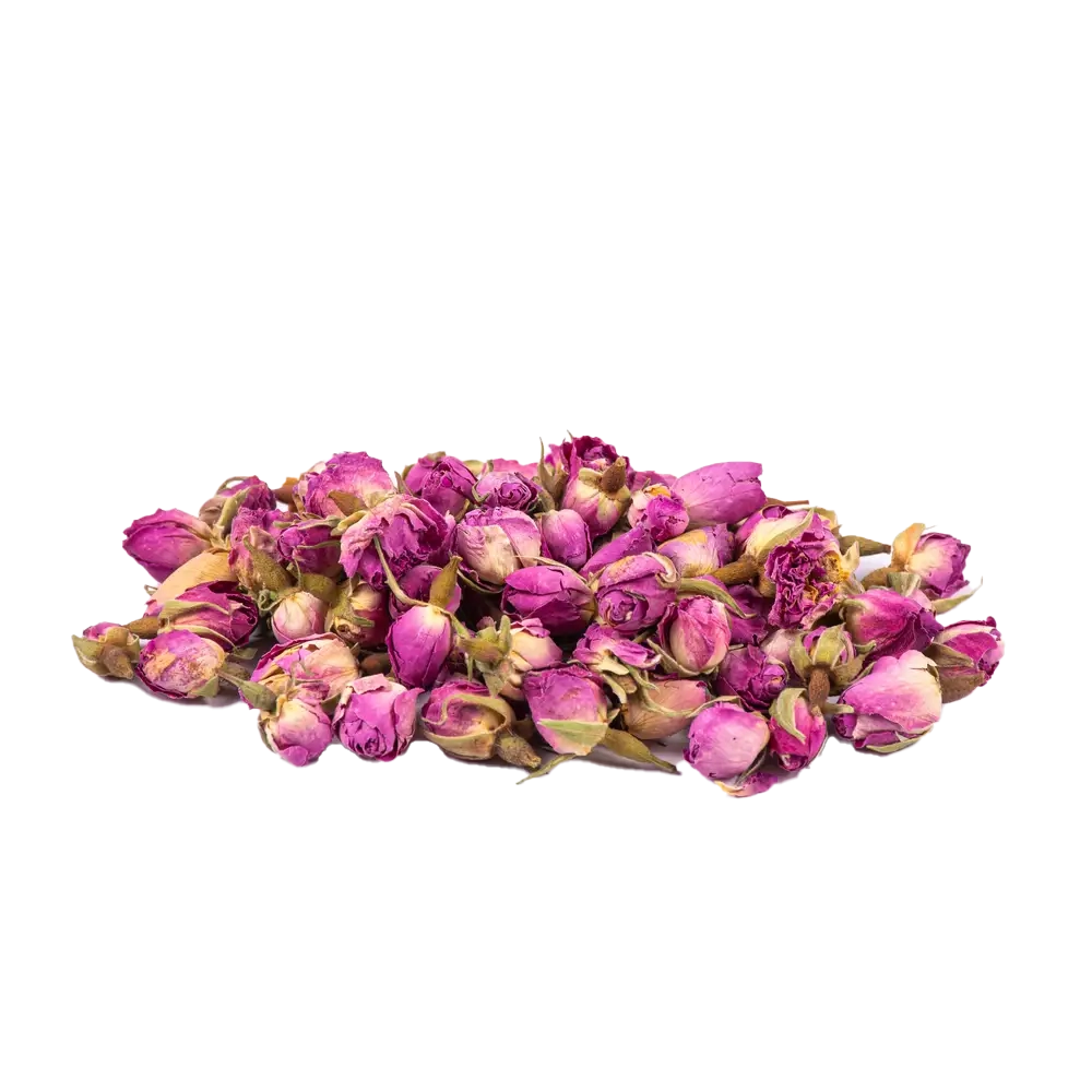 غنچه گل محمدی ممتاز