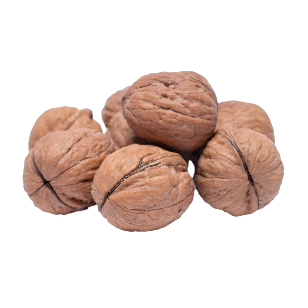 گردو ممتاز پوست نازک